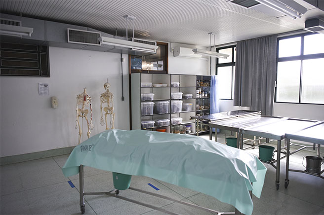 Laboratório de Anatomia Humana