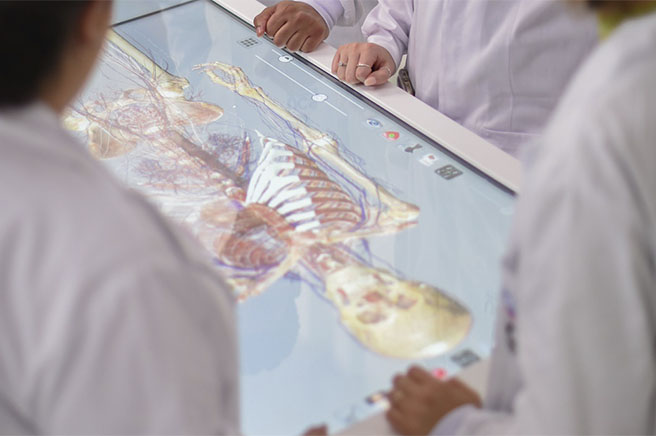 Laboratório de Anatomia Humana - Sala Digital 