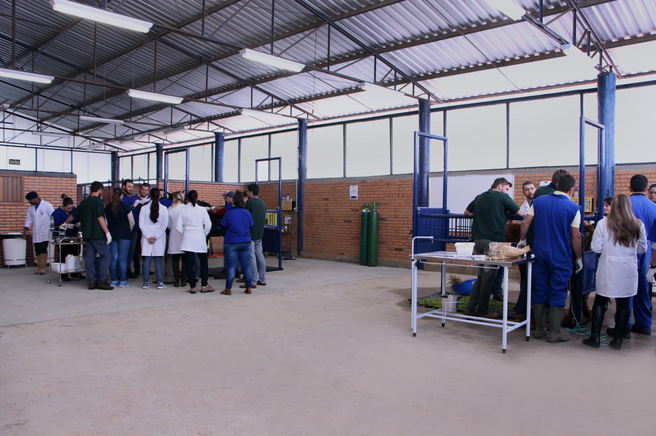 Clínica veterinária de grandes animais