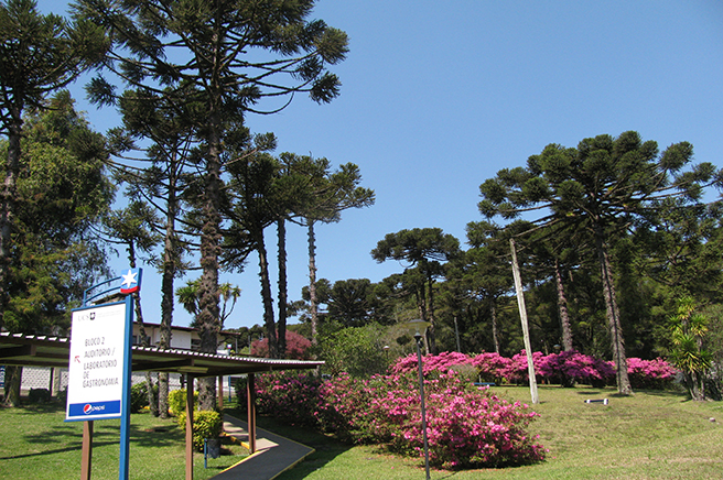 Campus Universitário da Região das Hortênsias (CAHOR) 